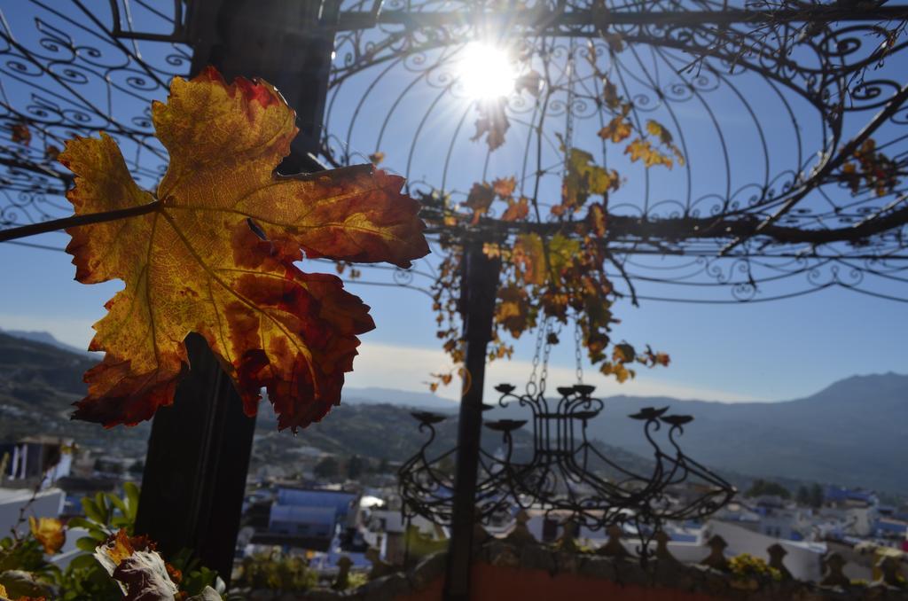 Dar Meziana Bed and Breakfast Chefchaouen Eksteriør billede